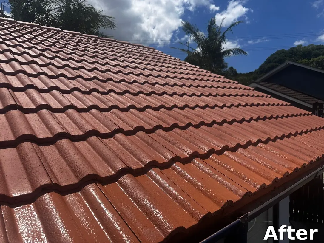 Residential house painting project Wellington NZ