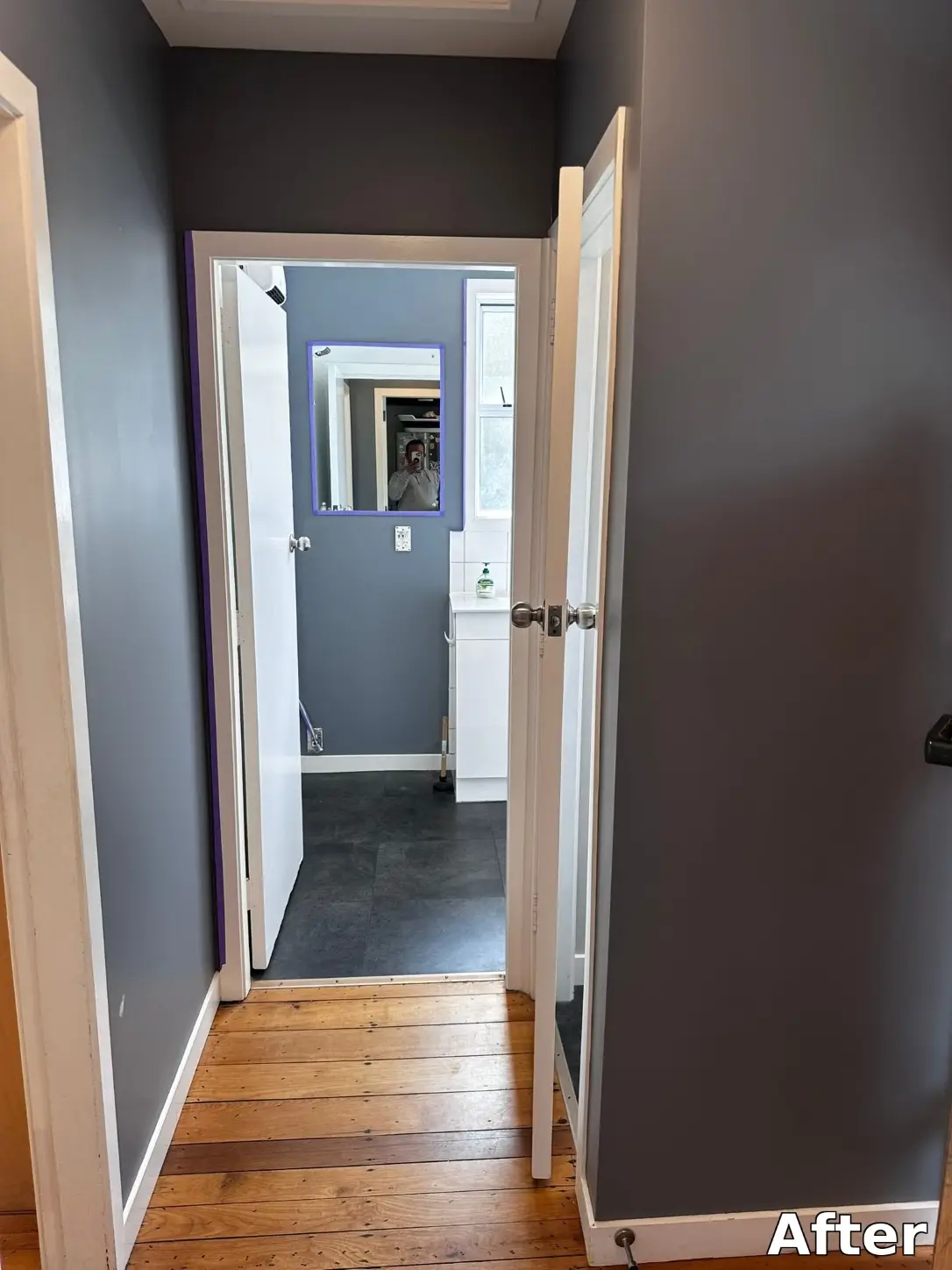 Residential house painting project Wellington NZ