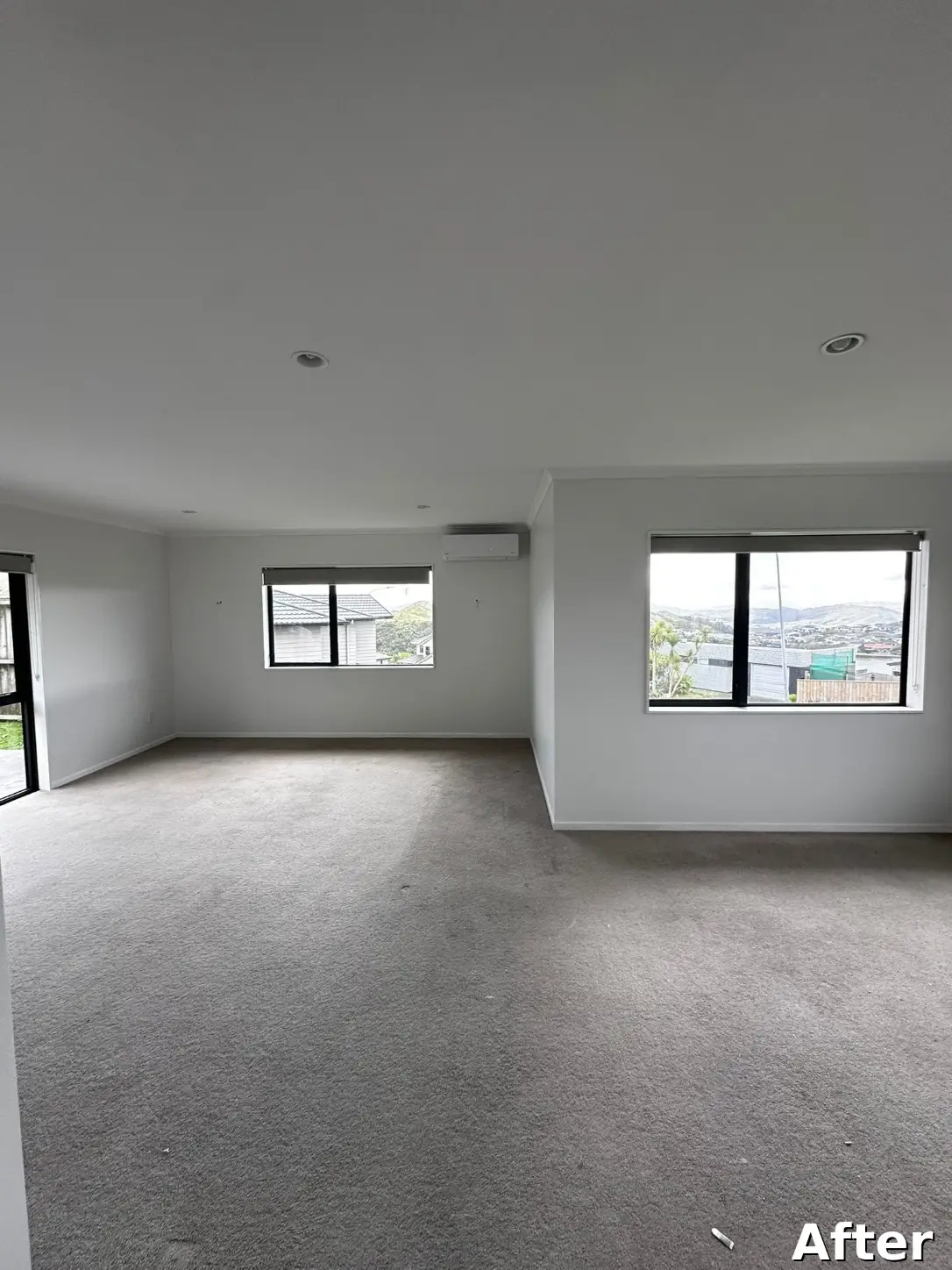 Residential house painting project Wellington NZ
