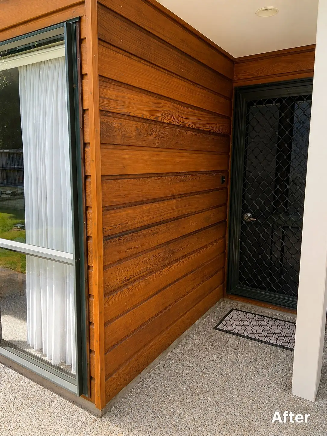Residential house painting project Wellington NZ