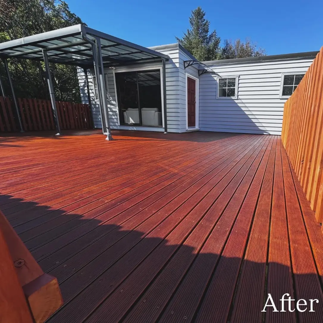Residential house painting project Wellington NZ